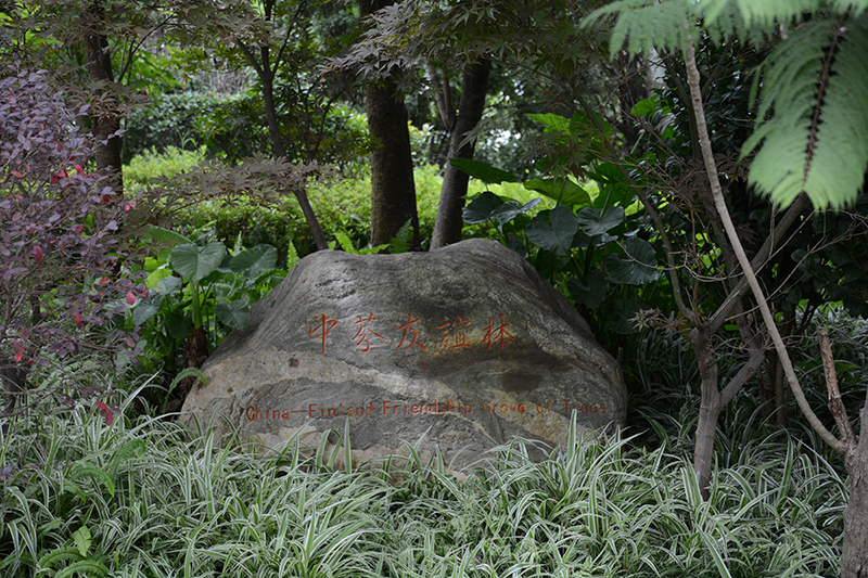 污泥廠(chǎng)-景觀(guān)施工